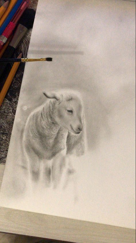 Lamb Sketch Drawing, Lamb Sketch, Lamb Drawing, Space Artwork, Baby Lamb, Cloud Drawing, Realistic Paintings, Diy Canvas Art Painting, Paint Ideas