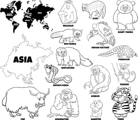 cartoon Asian animals set coloring book page Asian Animals Preschool, Asian Animals, World Map Continents, Asia Continent, Japanese Animals, Animals Coloring Pages, Educational Illustration, House Colouring Pages, Kid Coloring Page