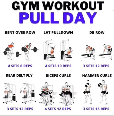 Pull Day Exercise, Pull Day Exercises, Pull Day Exercises Gym, Pull Day Exercises Women, Pull Day Exercises For Women, Pull Day Workout Exercise, Pull Day Back Exercises. Improve Physical Health, Push Day Workout, Pull Day, Pull Day Workout, Back And Bicep Workout, Fitness Studio Training, Workout Gym Routine, Push Day, Gym Workout Program