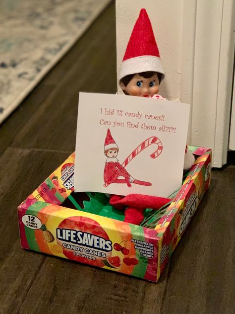 Elf on the shelf candy cane hunt Elf Hidden Candy Canes, Elf On The Shelf Ideas Candy, Elf On The Shelf With Candy Canes, Elf On The Shelf Candy Cane, Elf On The Shelf Ideas Candy Canes, Elf On The Shelf Candy Cane Ideas, Elf On The Shelf Candy, Candy Cane Hunt, Elf Candy Cane