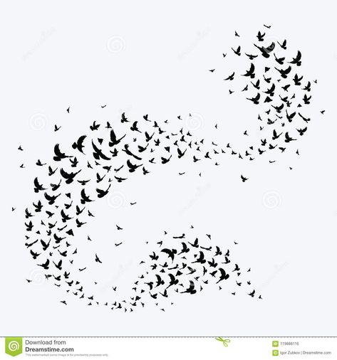 Flock Birds Tattoo, Murmuration Tattoo, Flying Birds Tattoo Design, Flock Of Birds Tattoo, Pigeons Illustration, Birds Flocking, Black Crow Tattoos, Flocks Of Birds, Pigeon Tattoo