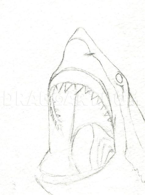 How To Draw A Shark Head, Step by Step, Drawing Guide, by finalprodigy | dragoart.com How To Sketch Animals Step By Step, Realistic Ocean Drawing, Big Shark Drawing, Drawing Shark Easy, Cool Ocean Drawings, How To Draw Sea Animals Step By Step, Ocean Animals Drawing Realistic, Cool Shark Drawings, Cute Shark Drawing Easy