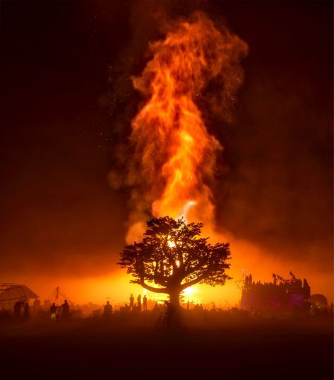 Magdiel Lopez, Fire Photography, Fire Burning, Fire Signs, Forest Fire, Burning Man, 그림 그리기, Amazing Nature, Blog Photography