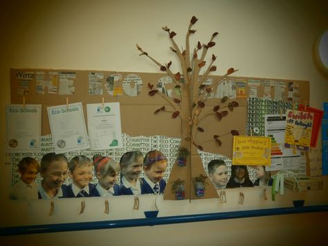 Our Eco council diplay board complete with living herbs! Eco Schools Display, School Council Display, School Council Ideas, Eco School, School Council, Eco Club, Display Boards For School, Science Display, Gardening Club