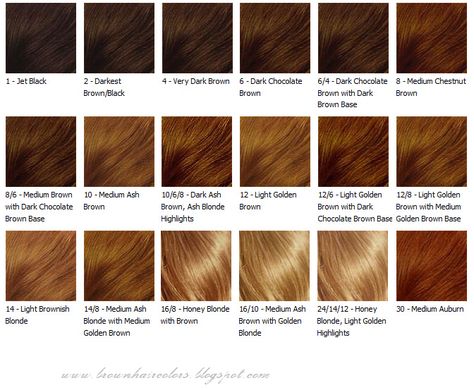 Brown Hair Color Chart | Brown Hair colors,Hair colors,Brown Hair Coloring tips Caramel Brown Hair Color, Blonde Hair Color Chart, Honey Brown Hair Color, Brown Hair Color Chart, Hair Caramel, Caramel Brown Hair, Honey Hair Color, Girl Hair Colors, Honey Brown Hair