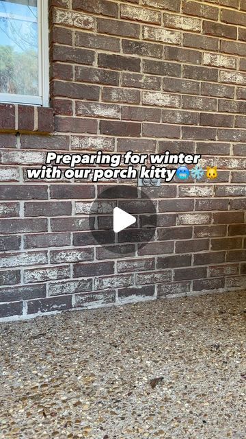 Emma Waters on Instagram: "Comment HOUSE & I’ll DM you the direct link for the insulated cat house! This insulated cat house from @khpet has been a life saver during those cold winter months for our outdoor cat! #insulatedcathouse #amazoncatfind #outdoorcathack #cats" Waterproof Cat House Outdoor, Diy Winter Cat House, Diy Outside Cat House For Winter, Diy Heated Cat House, Outdoor Cat House For Winter Diy, Diy Insulated Cat House, Winter Cat House Outdoor, Outside Cat House For Winter, Outside Cat House Diy