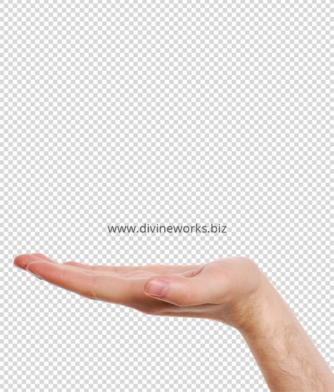 Hands Presenting Something, Hand Collage Png, Hand Collage Art, Hand Png For Editing, A Hand Holding Something, Hand Holding Something, Hand Png, Photography Mockup, Hand Clipart