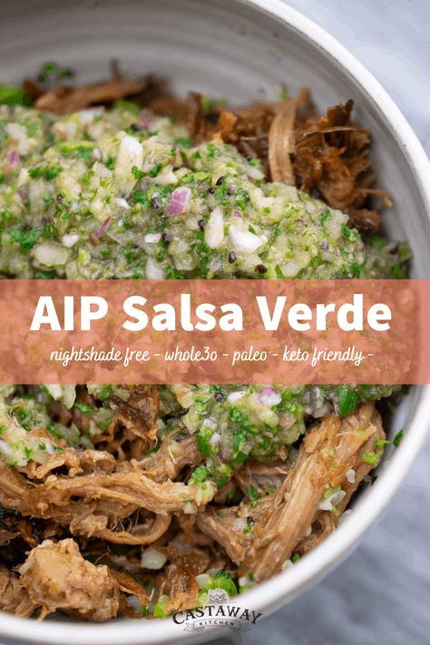 Aip Taco Sauce, Aip Enchiladas Sauce, Aip Dressings And Sauces, Aip Diet For Beginners Recipes, Aip Reintroduction Stage 1, Aip Marinades, Aip Roast, Aip Tacos, Aip Salsa