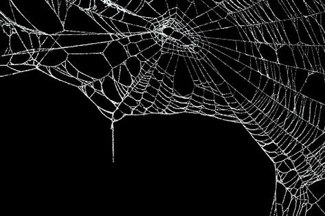 Spider Web Overlay, Gothic Background, Lighting Overlays, Gothic Wallpaper, Overlays Transparent, Iphone Pictures, Theme Background, Collage Making, One Piece Drawing