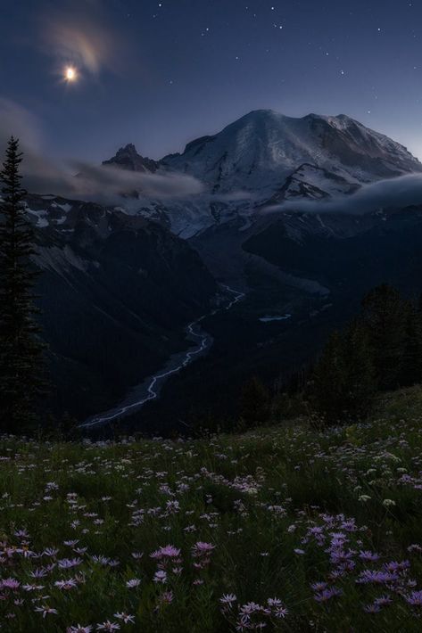 Night In Nature, Foggy Forest Mountain, Mountains At Night Aesthetic, Foggy Aesthetic Hill, Night Time Mountains, Forest Sky View, Top Of Mountain Aesthetic, Calming Images Aesthetic, Nature Aesthetic Mountains