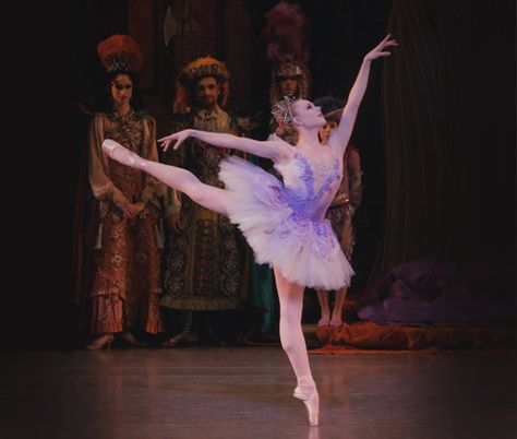 Lilac Fairy, Sleeping Beauty Ballet, Sleeping Beauty Fairies, New York City Ballet, Ballet Pictures, Ballet Performances, Ballet Poses, The Ballerina, Ballet Photos