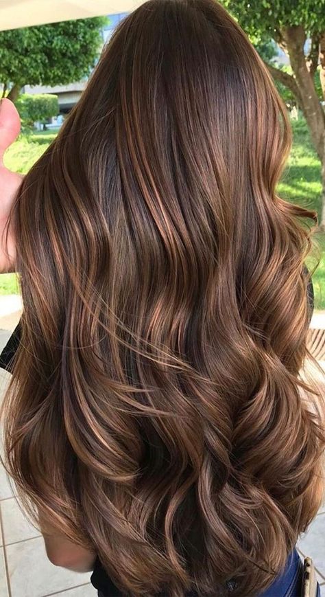 Hot Chocolate Hair Color Highlights, Hair Colour Pictures, Ash Brown And Caramel Balayage, Long Hair Colour Ideas Color Trends, Honey Ombre Hair Brunettes, One Shade Hair Color, Long Coloured Hair, Hot Chocolate Brown Hair, Haircolour Ideas Color Trends