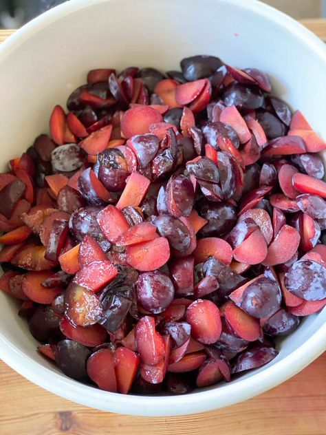 How to Make Homemade Plum Jam - Thermaland Oaks Preserving Plums, Plum Jam Recipes, Plum Seed, Canned Plums, Wooden Dummy, Dried Plums, Plum Jam, Summertime Recipes, Fruit Jam