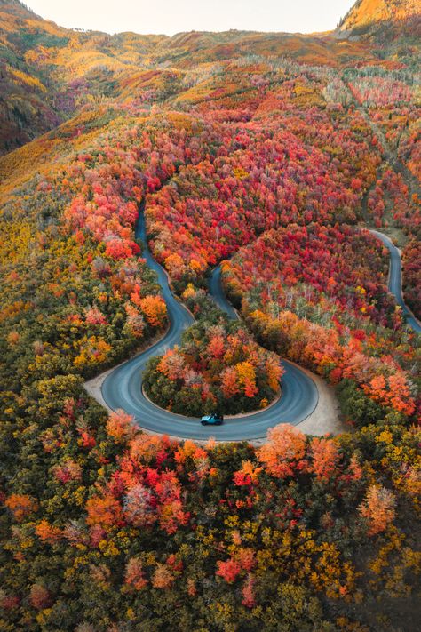 John Kasyn, Francisco Ribeiro, Utah Fall, Attractive Wallpapers, Big Wall Decor, Utah Adventures, New England Fall, Autumn Nature, Autumn Scenery