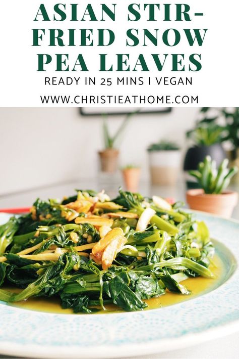 Stir-fried Snow Pea Leaves. A tasty way to elevate your snow pea leaves! Cooked in garlic and ginger. This is such a delicious and healthy side dish. Takes 25 minutes to make! Best Vegan Salads, Thanksgiving Vegetables Side Dishes, Thanksgiving Vegetable Sides, Vegetable Side Dishes Healthy, Snow Pea, Asian Party, Vegetable Salad Recipes, Asian Stir Fry, Light Sauce