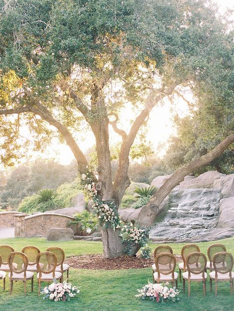 Tree Wedding Ceremony, Wedding Cermony, Romantic Floral Wedding, Wedding Tree Decorations, French Country Wedding, Wedding Alters, Amalfi Coast Wedding, Wedding Tree, White Wedding Theme