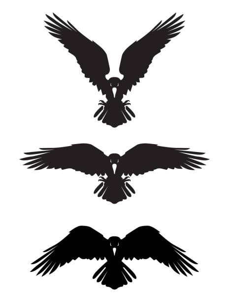 Crow Logo, Rabe Tattoo, Raven Wings, Dark Evil, Raven Bird, Crow Tattoo, Wings Drawing, Raven Tattoo, Crow Art