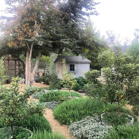 Garden inspiration #patinafarm #potager #ojai Potager Garden Ideas, French Potager Garden, Succulent Landscape, Vertical Vegetable Gardens, Herb Garden Design, A Small House, Potager Garden, Backyard Vegetable Gardens, Landscape Garden