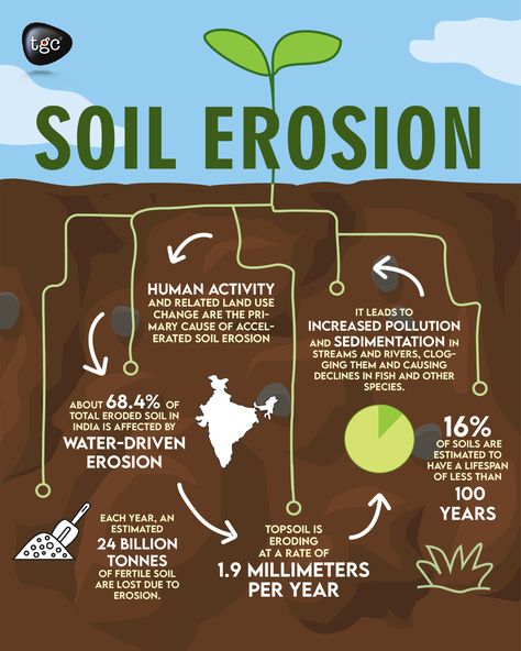 Infographics designed by our Graphic Design Student "Shrishti" @ TGC Animation & Multimedia #infographics #graphicdesign #design Graphic Collage, Soil Erosion, Healthy Soil, Graphic Design Student, Land Use, Human Activity, Top Soil, Communication Design, Design Student