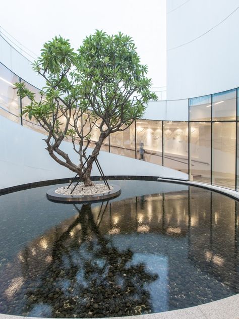 The Vanke Sales House / AECOM #courtyard Yoshio Taniguchi, Taman Air, Reflecting Pool, Green Architecture, Interior Garden, Modern Landscaping, Water Feature, Outdoor Landscaping, Bonsai Tree