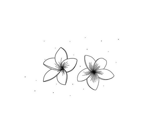 2 Flower Tattoo Design, Fragipanni Flower Tattoo, Tattoos With Family Meaning, Plumeria Flower Tattoos Black And White, Hawaii Flower Tattoo Plumeria, Tiare Flower Tattoo, Fine Line Frangipani Tattoo, Frangipani Tattoo Fine Line, Frangipani Tattoo Designs