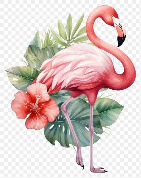 Flamingo Aesthetic, Flamingo Background, Flamingo Animal, Flamingo Vector, Stitching Designs, Plant Png, Tot Bag, Rose Illustration, Animal Wildlife