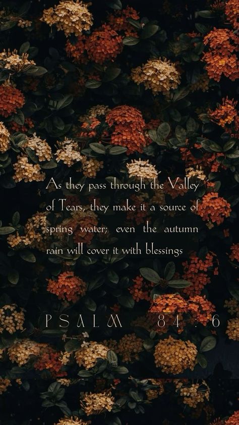 Fall Scripture Wallpaper Iphone, Bible Verses For November, Lds Temple Wallpaper Fall, Brown Scripture Aesthetic, Fall Bible Verses Wallpaper Aesthetic, Fall Christian Wallpaper Iphone, November Bible Verses, Autumn Bible Verse Wallpaper, Halloween Bible Verses