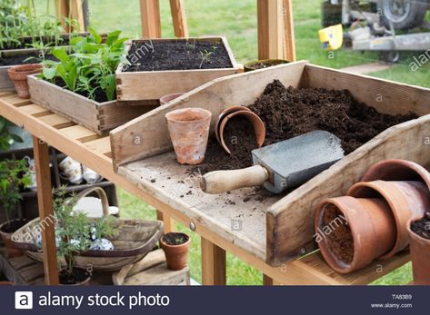 Potting Bench In Greenhouse, Greenhouse Potting Bench, Greenhouse Bench Ideas, Green House Interior Ideas Planters, Greenhouse Benches Diy, Greenhouse Interior Ideas, Potting Benches Diy, Greenhouse Interior, Greenhouse Benches