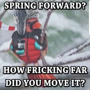 Top 10 Funny Spring Snow Memes That Will Keep You Laughing For Hours - Empire BBK Snow Meme, Cold Weather Funny, Grumpy Cat Christmas, Snow Quotes, Winter Humor, Snow Humor, Spring Funny, Funny Weather, Spring Snow