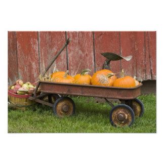 Pumpkin Photo Prints & Photography | Zazzle