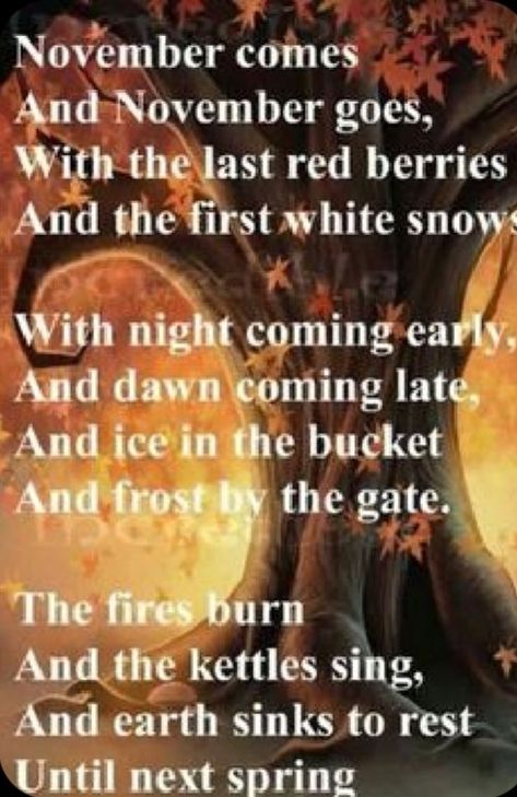 When Autumn turns to Winter Autumn Poems, November Quotes, Hello November, 13 November, Autumn Quotes, Fabulous Fall, Happy Fall Y'all, Ice Age, Autumn Beauty