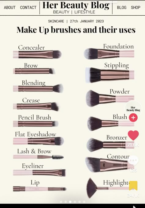 Makeup Routine Guide, Makeup Brush Uses, Membentuk Alis, Mekap Mata, Makeup Order, Makeup Brushes Guide, Learn Makeup, Beginners Eye Makeup, Simple Makeup Tips