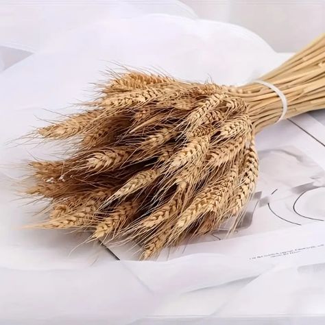 "vintage Elegance" Natural Dried Wheat Stalks Perfect Diy - Temu Canada Dried Wheat Decor, Wheat Decor, Tables Wedding, Dried Wheat, Modern Industrial Decor, Harvest Wreath, Popular Decor, Organic Decor, Eco Friendly Decor