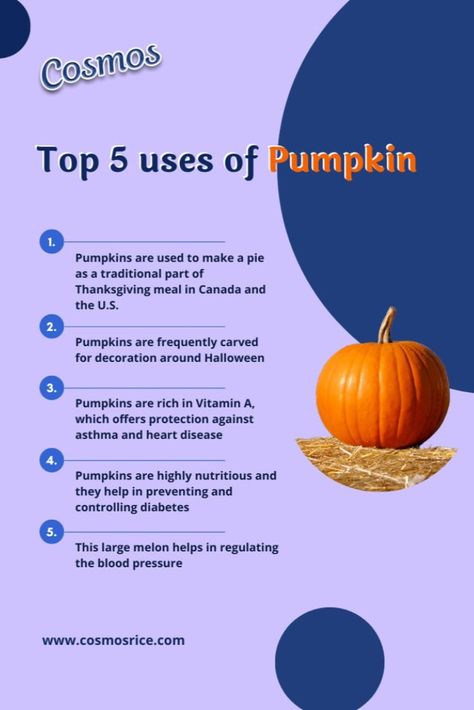 National Pumpkin Day Pumpkin Health Benefits, Pumpkin Fruit, Gut Reset, Indian Summer, Eating Healthy, Pumpkin Puree, Healthy Foods To Eat, Healthy Foods, Thanksgiving Recipes