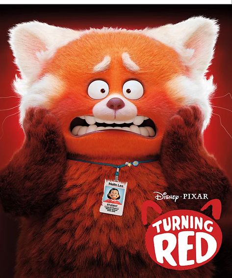 Turning Red Movie, Mei Lee, Red Disney, Movie Merchandise, Turning Red, Pumpkin Halloween Decorations, Movie Buff, Red Panda, Pumpkin Halloween