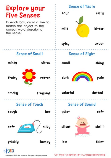 Senses Matching Worksheet, Senses Worksheets For Kids, Sense Of Touch Activities, Touch Activities, 5 Senses Worksheet, Free Science Worksheets, Sensory Language, Sensory Words, Preschool Worksheets Free Printables