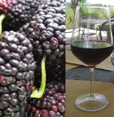 Here's a HUGE list of easy home wine recipes! Homemade Wine Recipes, Mead Wine, Mulberry Recipes, Mulberry Wine, Homemade Alcohol, Honey Wine, Homemade Liquor, Homemade Wine, Expensive Wine