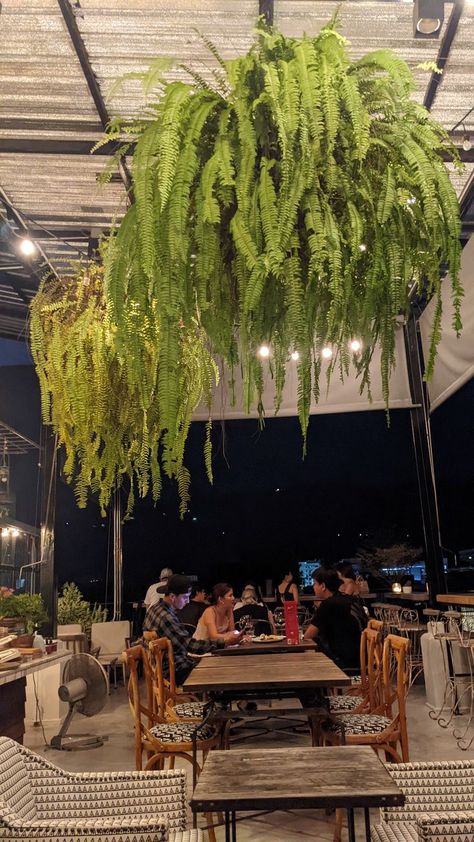 I like how GIANT ferns were hanging from the outdoor areas (not sure they can grow in Austin like this!) Ferns Hanging From Ceiling, Hanging Ferns, Thatched House, Bougainvillea, Outdoor Areas, Hanging Plants, Planting, House Ideas, Austin