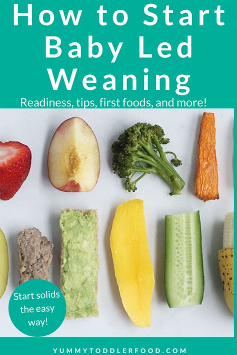 Combining Blw And Purees, Blw 100 First Foods, Blw Day 1, First Baby Led Weaning Foods, Solid Starts First 100 Days, Blw Eggs, 100 First Foods Blw, Blw First Foods, Best First Foods For Baby