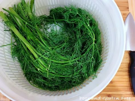 How to preserve dill for winter How Do You Preserve Fresh Dill, How To Preserve Fresh Dill, How To Preserve Dill, Freezing Dill, Preserving Dill, Preserve Dill, Freezing Produce, Preserve Fresh Herbs, Pre Prepared Meals