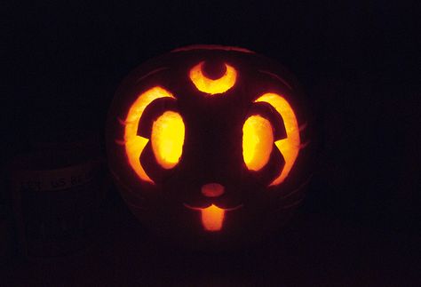 It's a simple Luna from Sailor Moon's face on a pumpkin. Unfortunately I live on the first floor so no one got to see her. Moon Pumpkin Carving, Moon Pumpkin, Halloween Pumpkin Stencils, Pumpkin Cravings, Cute Pumpkin Carving, Pumkin Carving, Halloween Pumpkin Carving Stencils, Creative Pumpkin Carving, Pumpkin Carving Designs