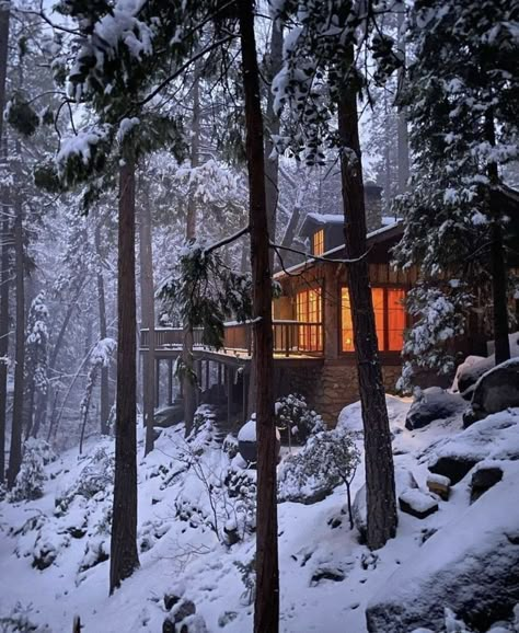 A Cabin In The Woods, Little Cabin In The Woods, Cabin Aesthetic, Cabin In The Mountains, Forest Cabin, Beautiful Cabins, Cabin Living, Winter Cabin, Little Cabin