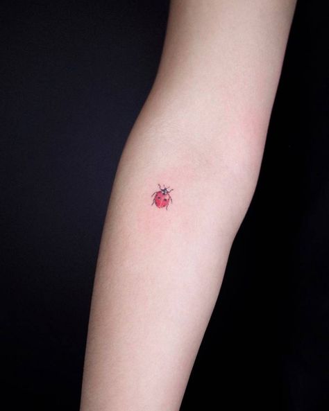 Ladybug Tattoo Ideas, Tattoos Female, Ladybug Tattoo, Lady Bug Tattoo, Sketches Ideas, Bug Tattoo, Inner Forearm, Subtle Tattoos, Little Tattoos