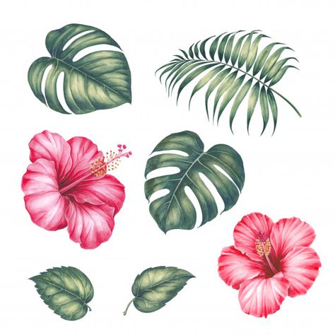 Hibiscus Painting, Tropical Flower Tattoos, Hibiscus Flower Drawing, Floral Tree, Deco Jungle, Frida Art, Tree Flowers, Palm Tree Leaves, Flower Sketches