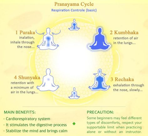 Yoga Pranayama, Pranayama Breathing, Pranayama Yoga, Train Insane Or Remain The Same, Rishikesh Yoga, Yoga Philosophy, Sanskrit Words, Yoga Music, Yoga Retreats