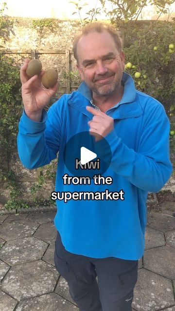 Simon Akeroyd on Instagram: "A kiwi band for a kiwi fruit. (I know they are also partly Aussie) How to grow a kiwi from the supermarket. This is a fun and fairly easy fruit to grow. Most kiwis require both male and female plants for pollination in order to produce fruit, so grow a few seedlings to increase your chances #growyourgroceries #gardeningforbeginners #growyourownfruit" Easy Fruit To Grow, How To Grow Kiwi, Kiwi Plant, Veggie Beds, Seed Starters, Kiwi Fruit, Creative Gardening, Self Watering, Gardening For Beginners