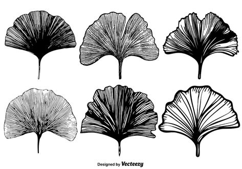 Vector Gingko Leaf Set Ginkgo Tattoo, Hur Man Ritar Blommor, Ginkgo Art, Ginko Biloba, Art Nouveau Tattoo, Motifs Art Nouveau, Gingko Biloba, Gingko Leaves, Leaf Silhouette