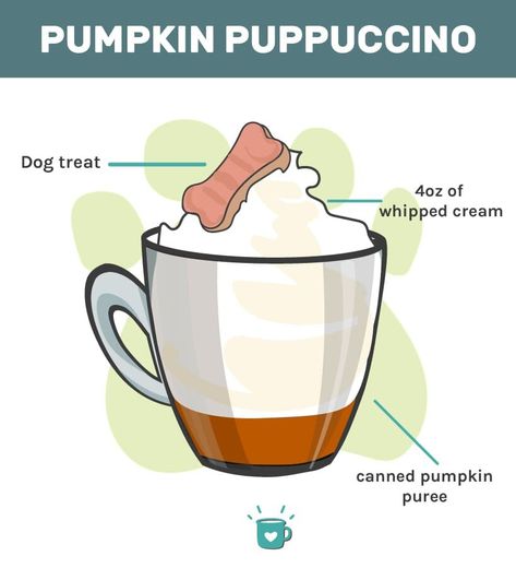 What is a Starbucks Puppuccino? + A Bonus Homemade Recipe! How To Make A Pup Cup, Homemade Pup Cups, Pupachino Recipe, Pup Cups Recipe, Puppuccino Recipe, Pup Cups, Low Fat Cookies, Pup Cup, Frozen Dog Treats