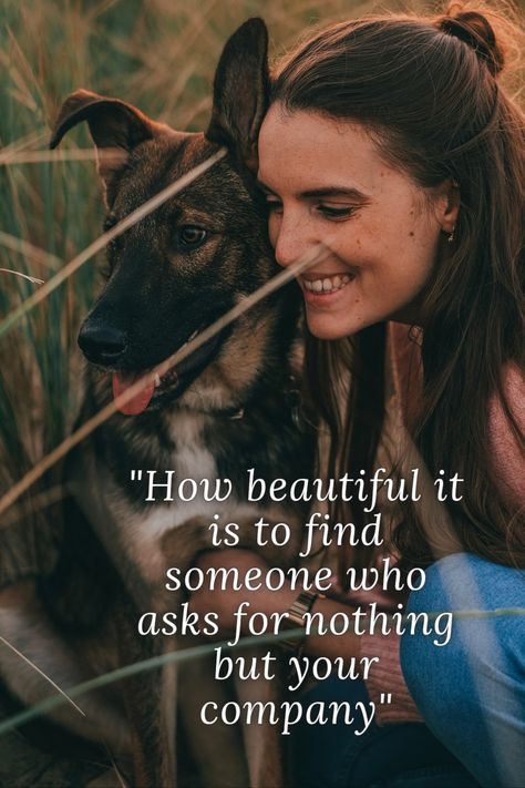 How beautiful it is to find someone who asks for nothing but your company - GSD quotes - Dog lover quotes, GSD, GSD quotes, German Shepherd Quotes, Dog lover, GSD Lover German Shepherd Dog Quotes, Shepherd Quotes, German Shepherd Quotes, Dog Lover Quotes, Find Someone Who, Find Someone, Dog Quotes, German Shepherd Dogs, How Beautiful