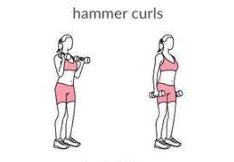 Hammer curl Arms And Abs, Hammer Curls, Upper Body Workout, Body Workout, Upper Body, Workout Videos, Workout Routine, Target, Gym